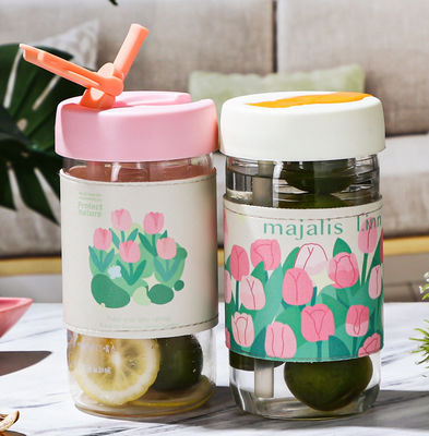 380 ML  Glass Tumbler with Straw and Lid for Loose Leaf Flower Herbal Tea